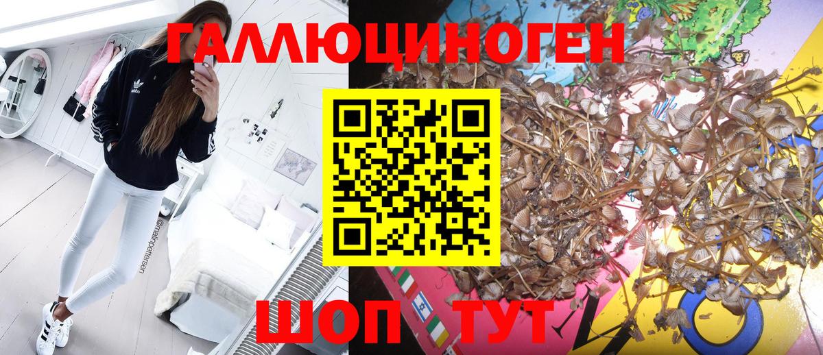 Галлюциногенные грибы ЛСД Новоуральск